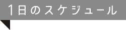 1日のスケジュール